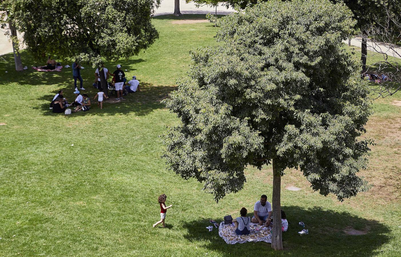 Picnics en el Jardín del Turia