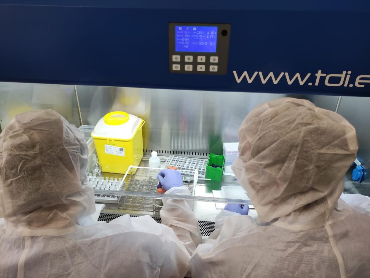 Un par de Técnicos Superiores Sanitarios trabajando en un laboratorio. lp 