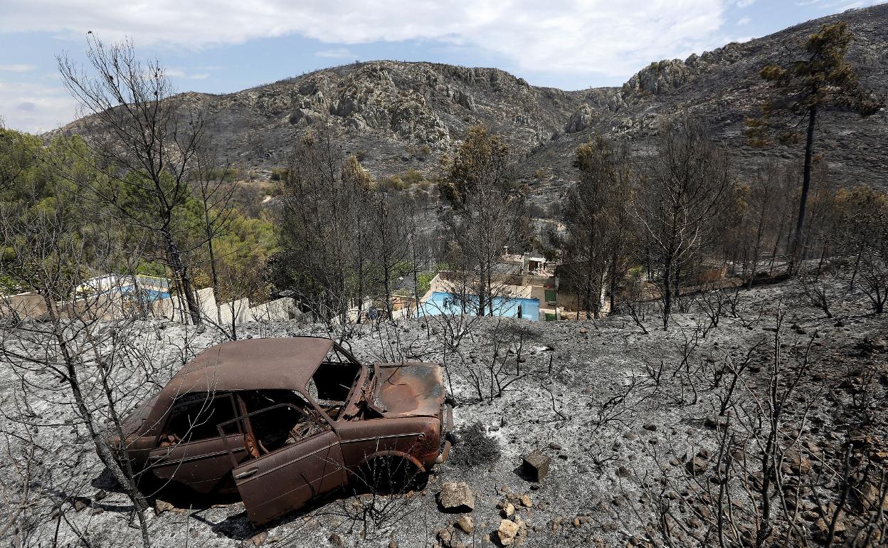 El fuego arrasó con gran parte de la masa forestal de Carcaixent. 