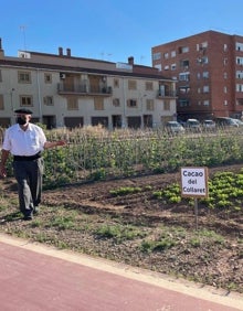 Imagen secundaria 2 - El cartel iluminado de la campaña, sobre la huerta, y Toni Montoliu dirige la visita a los campos y al museo. 