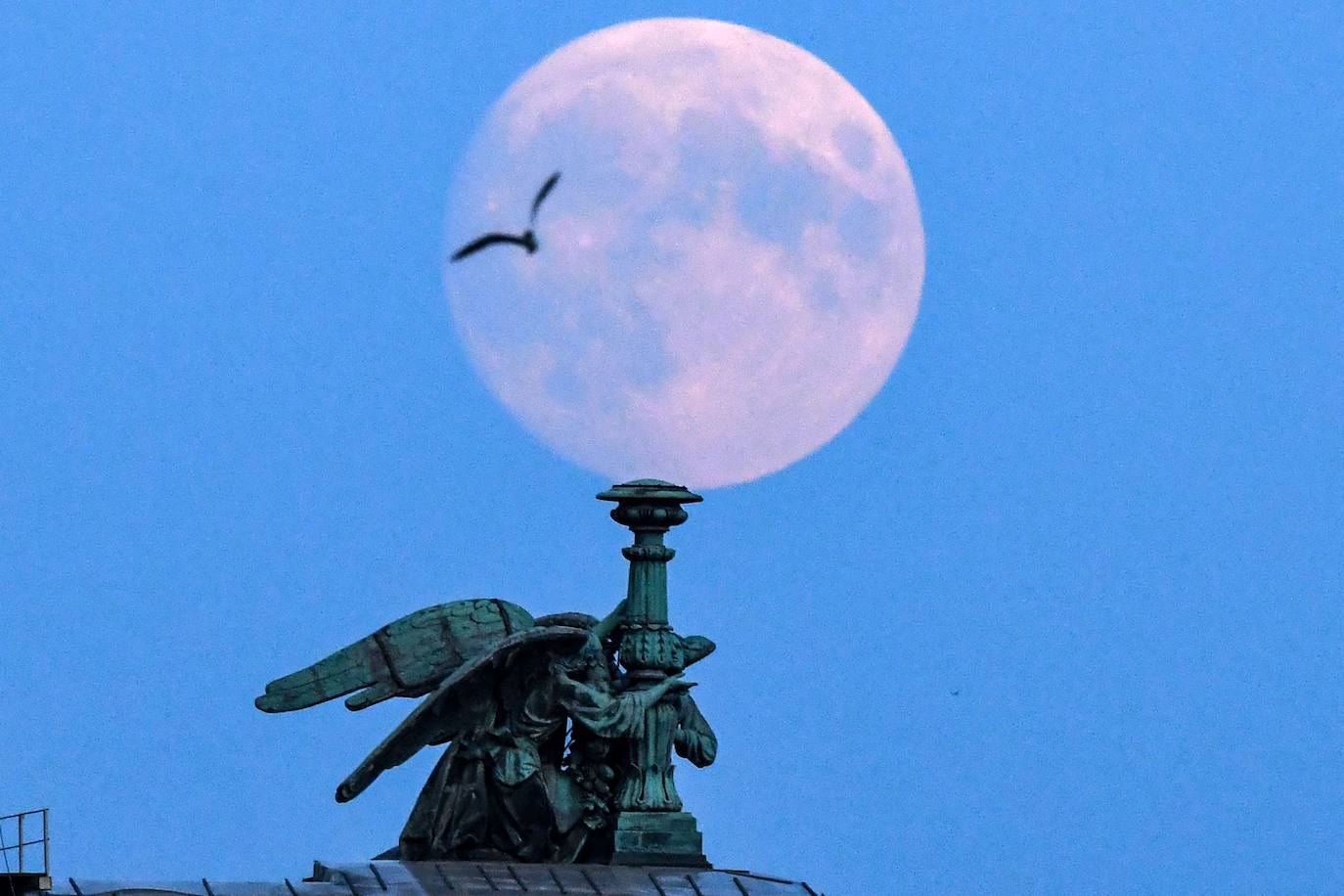 La última superluna del año 2021. 