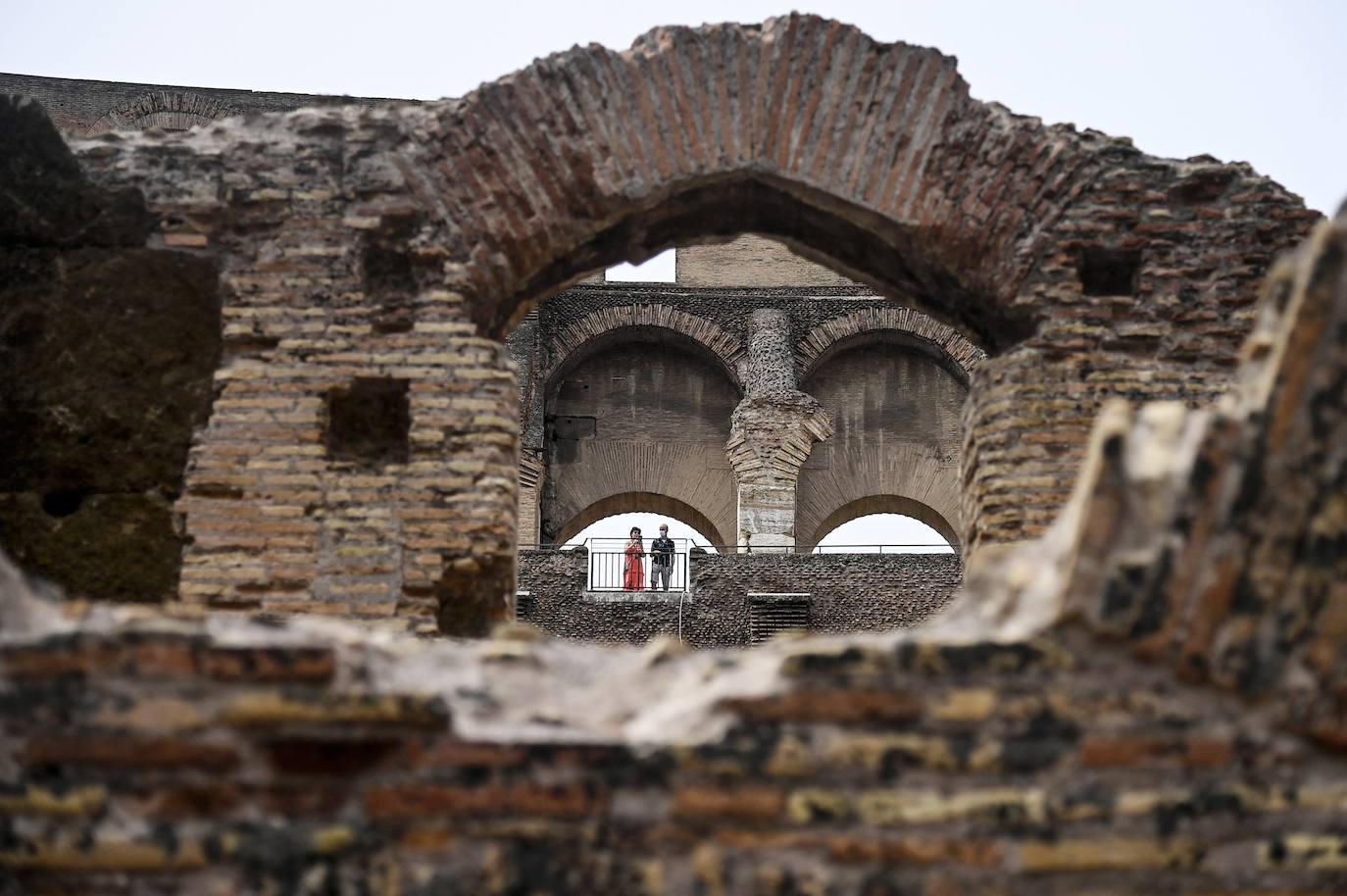 Fotos: El Coliseo abre al público la antecámara de la muerte para leones y gladiadores