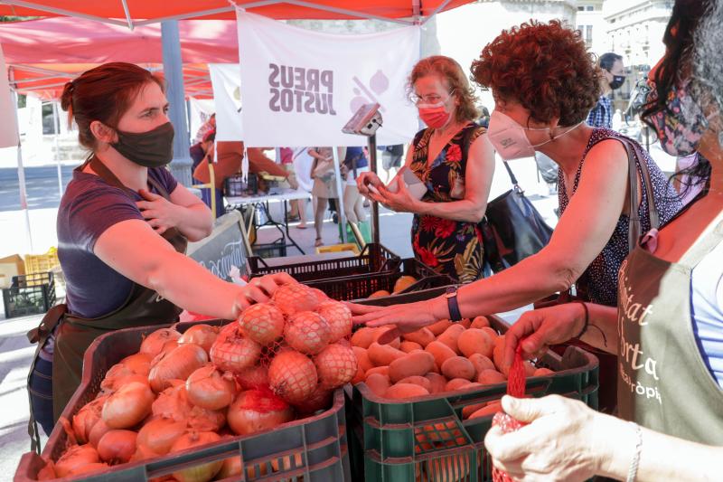 Fotos: Mercado extraordinario de venta directa frente a las Torres de Serranos