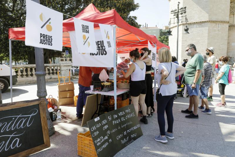 Fotos: Mercado extraordinario de venta directa frente a las Torres de Serranos