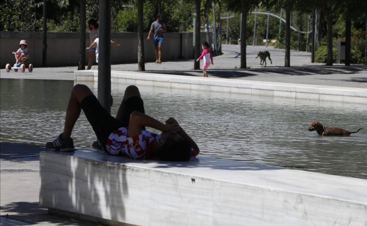 calor intenso este domingo en Valencia. 