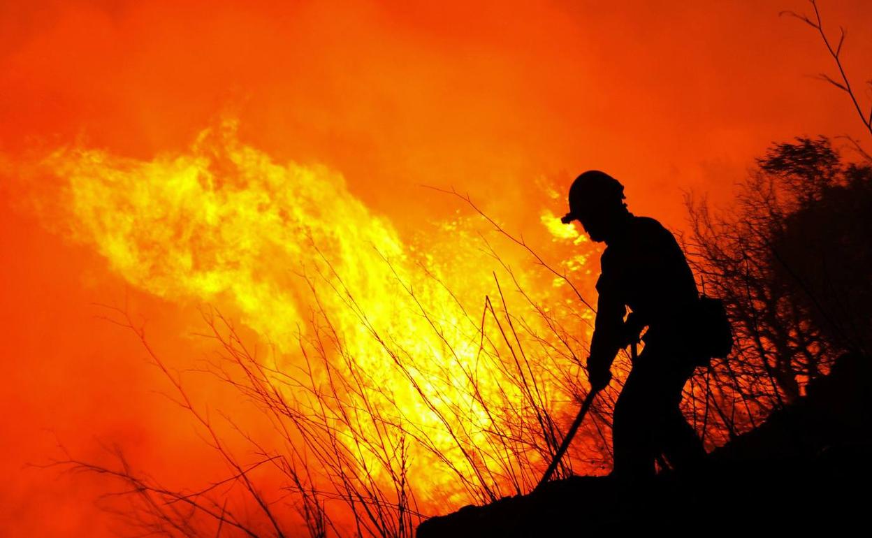 Un bombero forestal trabaja en un incendio. 