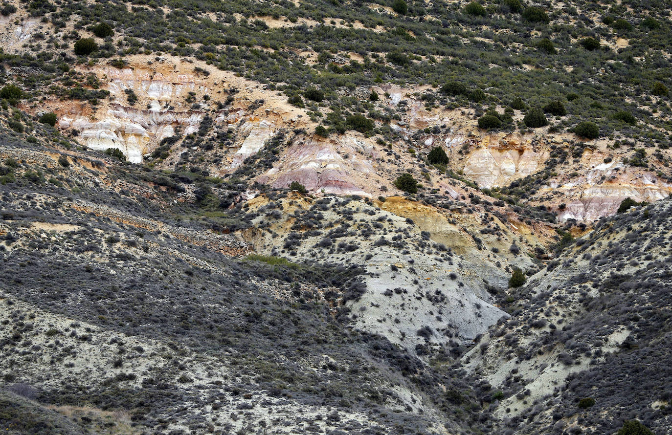 Estratotipo en el barranco de Fuenlasanz (Guadalajara).