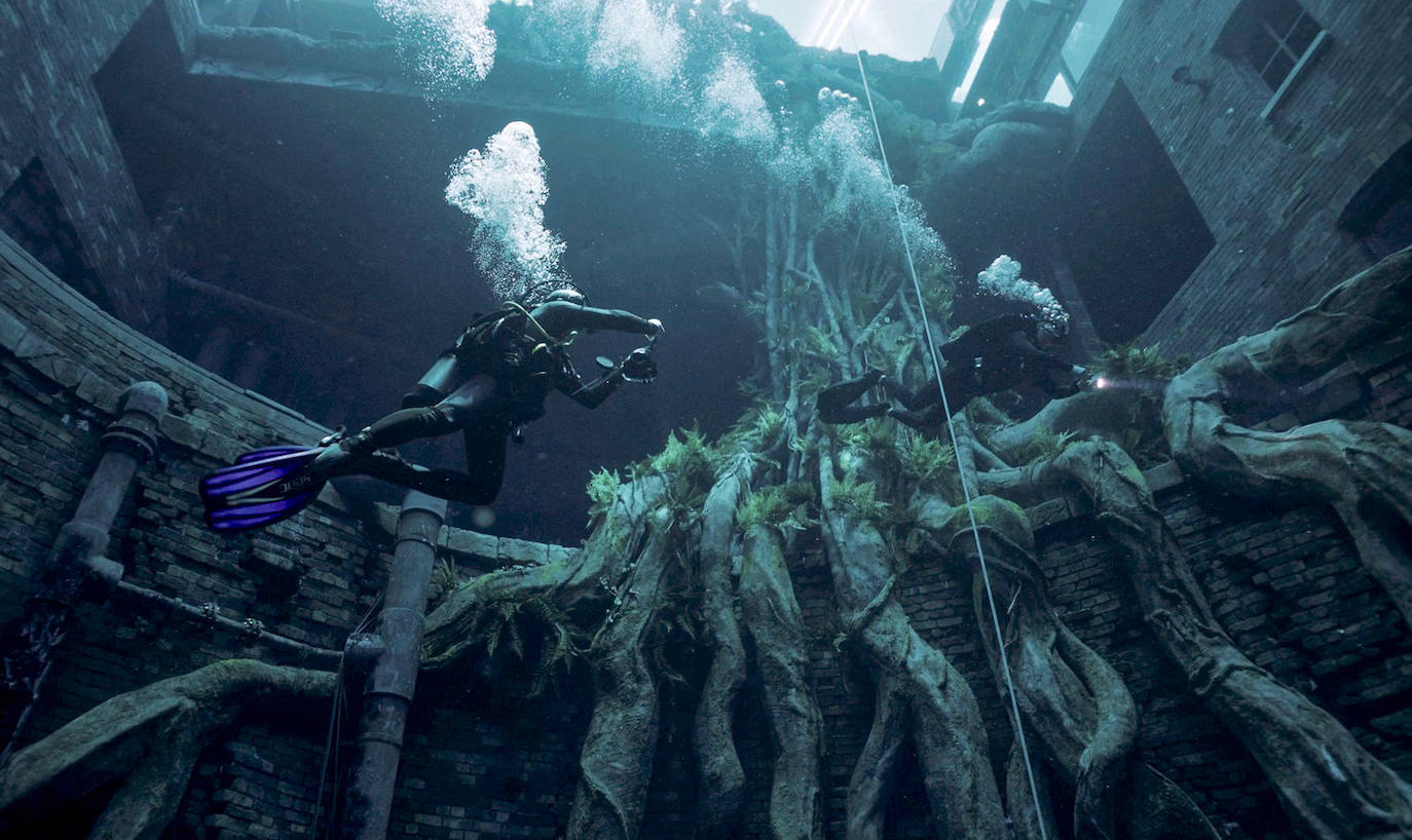 Fotos: Así es Deep Dive Dubai, la piscina más profunda del mundo