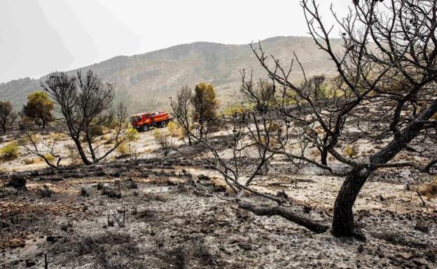 Campo incendiado en Murcia en 2015