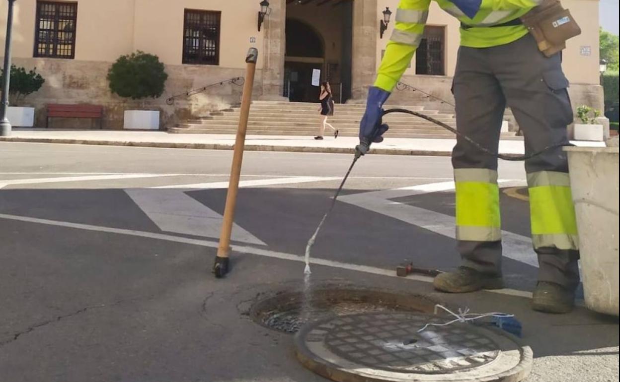 Paterna intensifica la desinfección y control de plagas en más de 7.600 pozos de alcantarillado