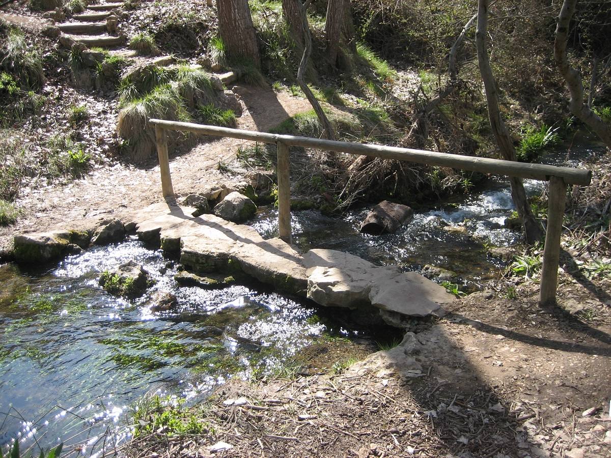 La sierra de Mariola es atractiva tanto para senderistas como para observadores de mariposas. El gran número de fuentes y cuerpos de agua la hacen muy atractiva para estos insectos, que se pueden observar en el recorrido de la ruta azul. 