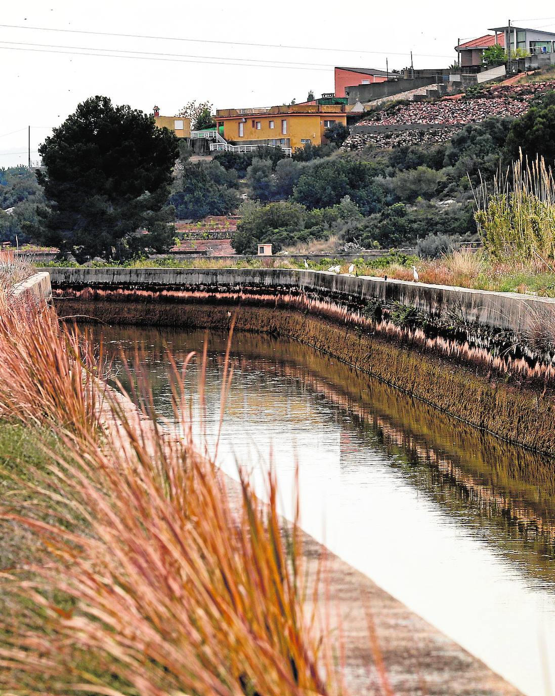 Un tramo de la Acequia real del Júcar. 