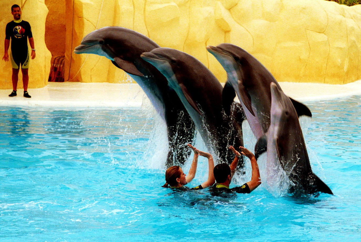 Loro Parque (Tenerife)