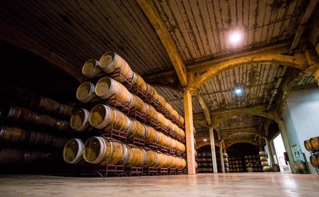 Imagen principal - La sala de barricas en la finca Hoya de Cadenas cuenta con 15.000 barricas de roble americano y francés. Abajo, las barricas pintadas por artistas como Javier Mariscal, Paco Roca o Carmen Calvo que integran el Museo Arte en Barrica. A la derecha, José María Gandía Ferri (segunda generación). 