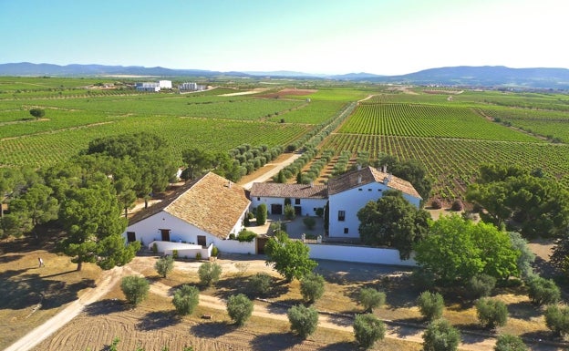 Los viñedos y la finca Hoya de Cadenas, en Utiel. 