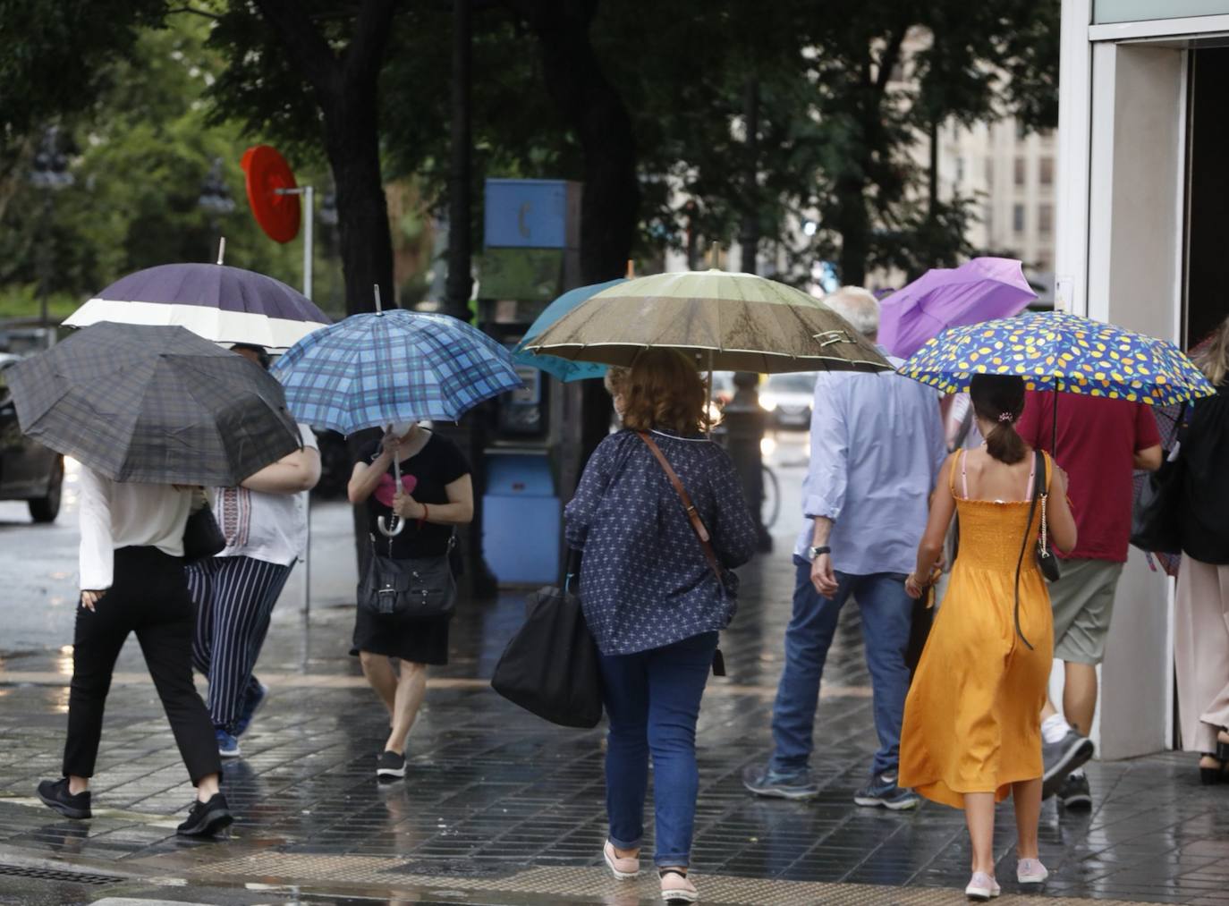 Lluvia en Valencia. 