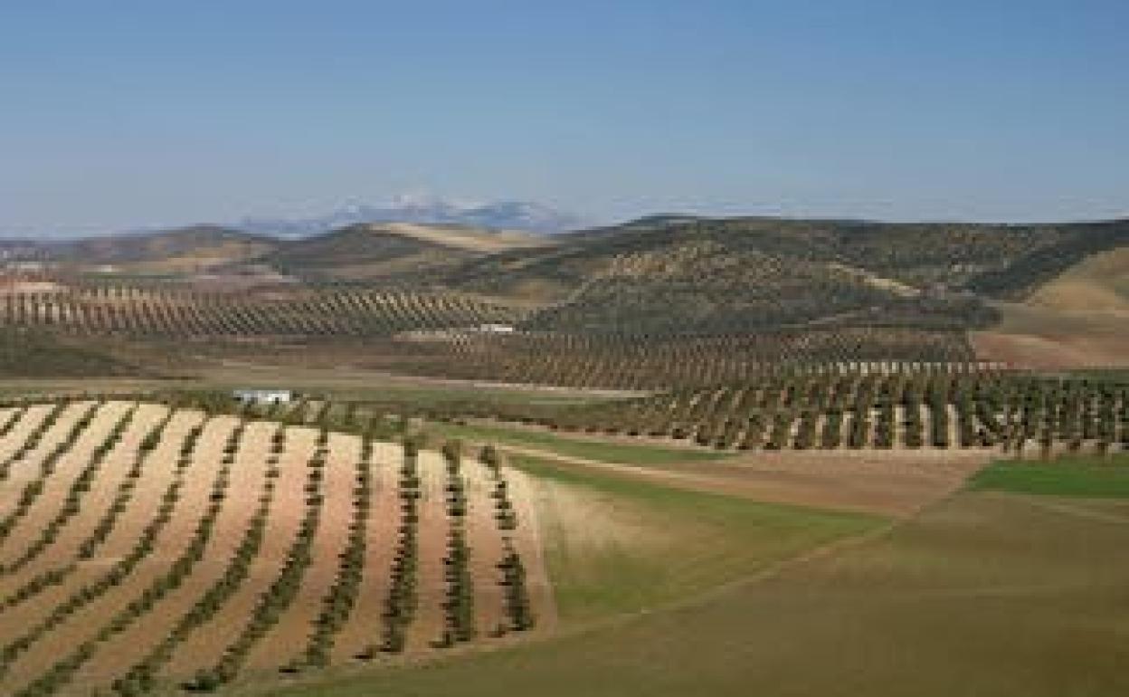 Los desafíos invisibles de una agricultura verde en Europa