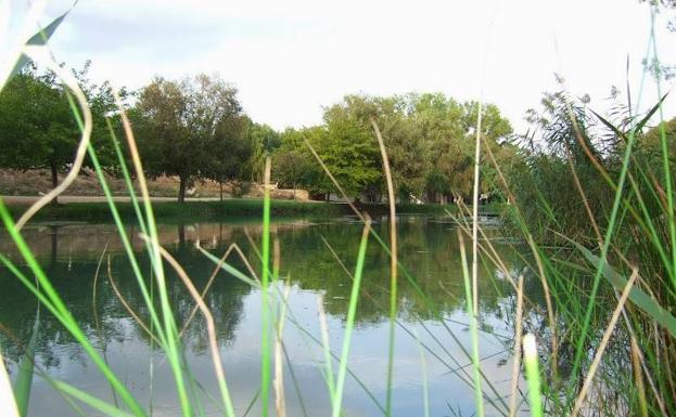 Playa fluvial de Bugarra 