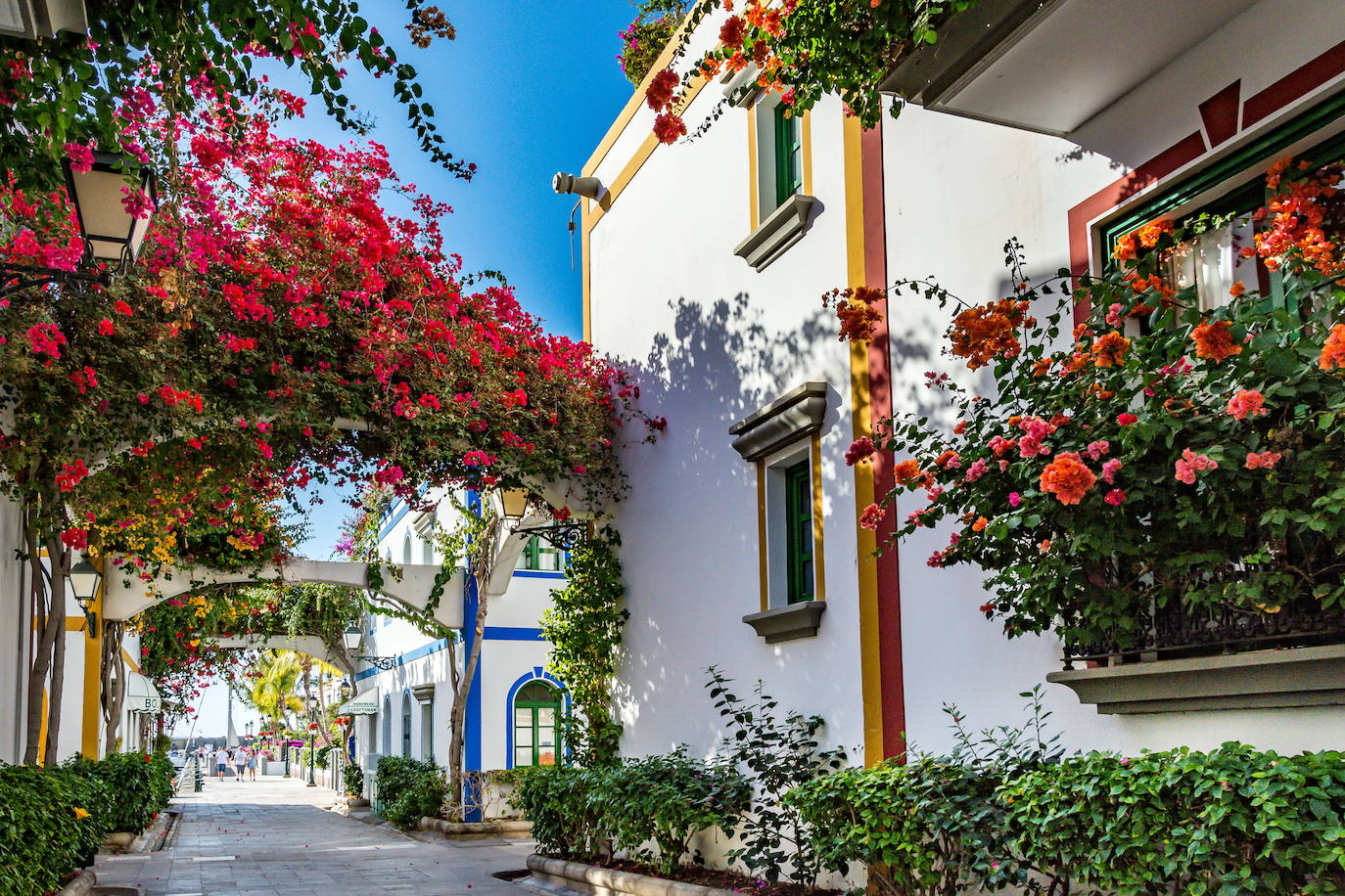 GRAN CANARIA | Puntuación final de 82 sobre 100 y temperatura de 24 °C en temporada alta y de 20 °C en temporada baja. Los amantes de las excursiones destacan de ella sus 200 senderos a través de los cuales descubrir en profundidad la isla.