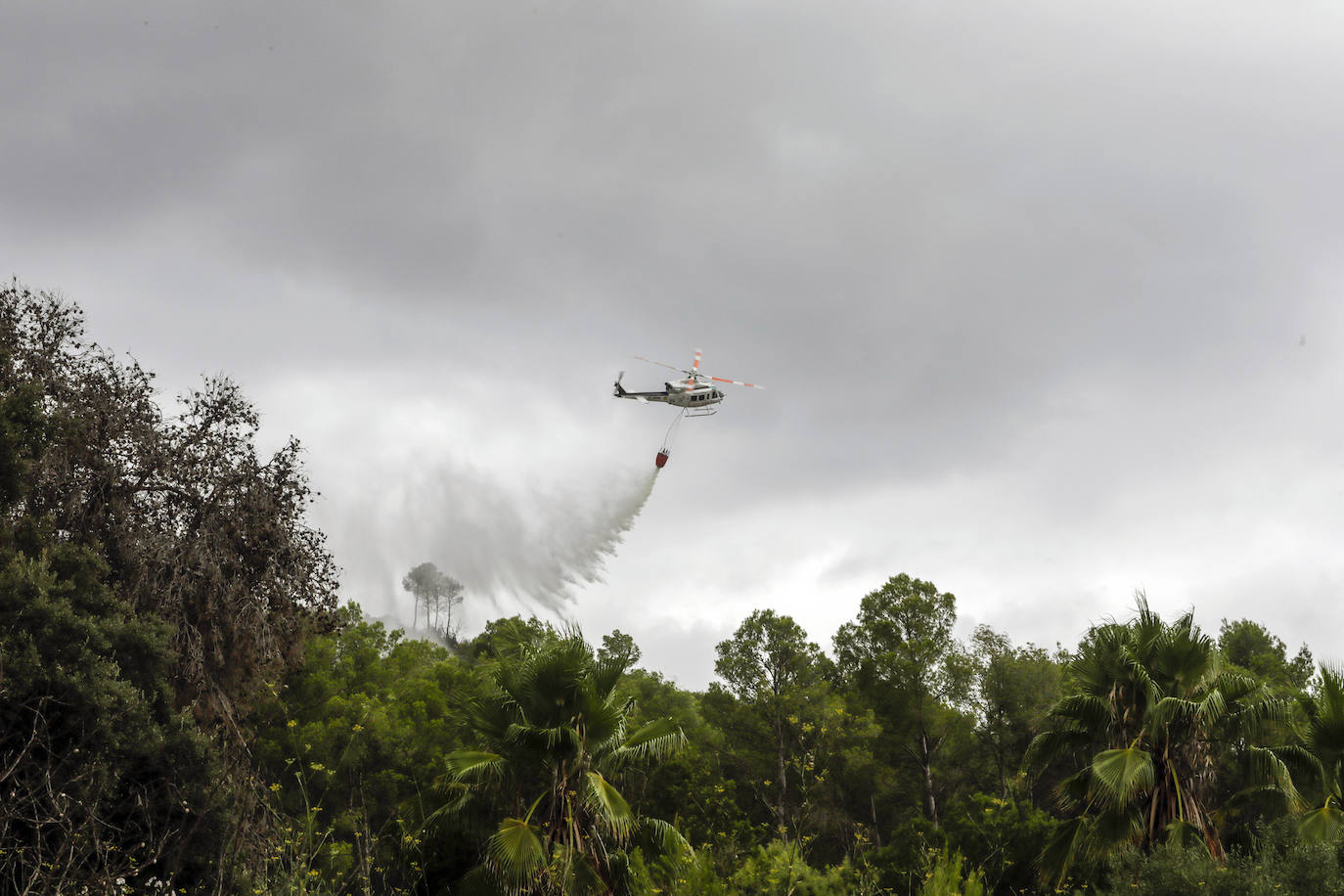 Incendio en Rafelguaraf (agosto 2021). 