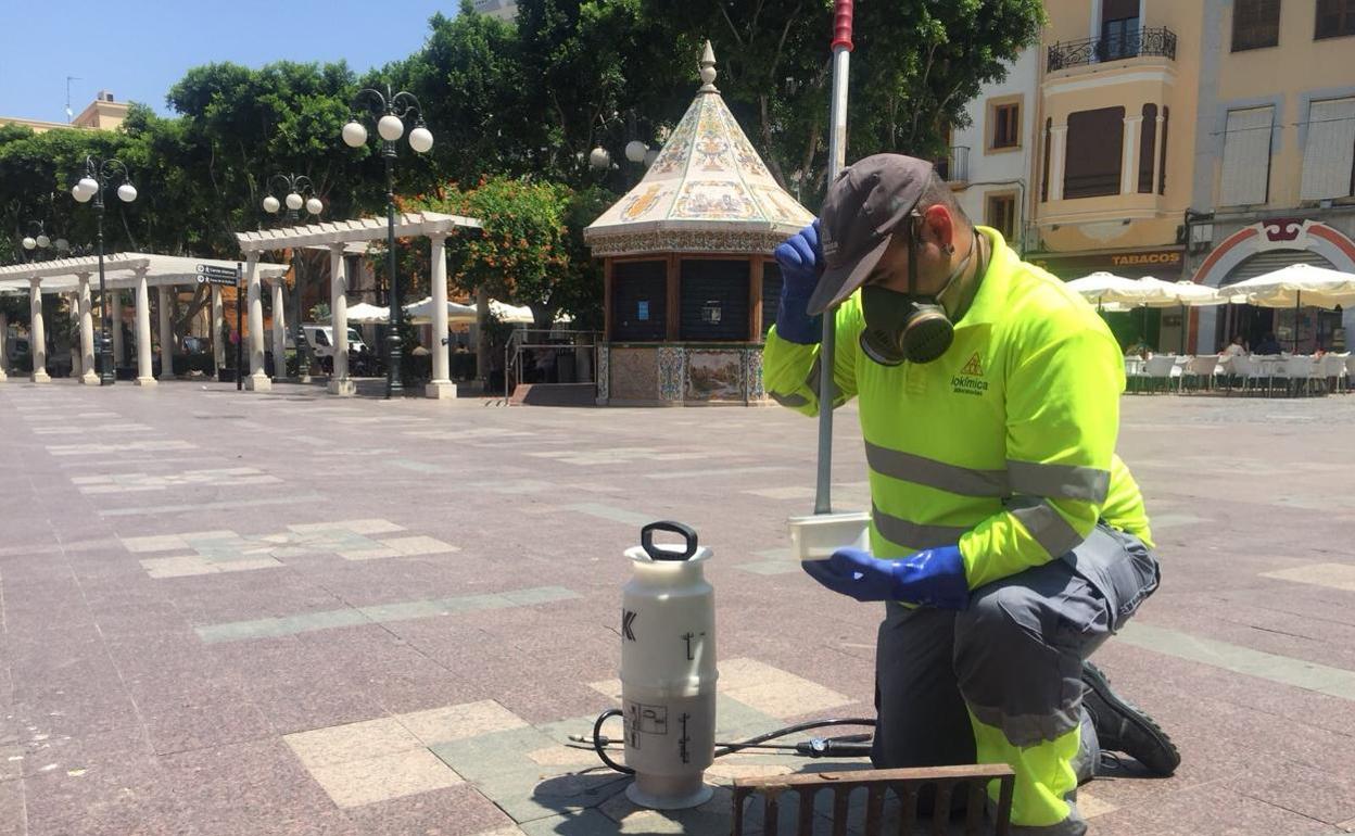 Tratamiento en los imbornales de Alzira. 