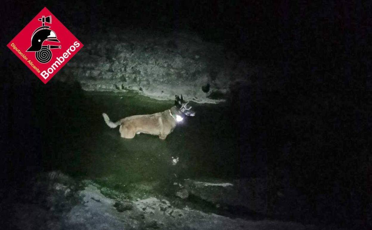 El hombre vio que lo estaban buscando cuando regresó a su masía de Alfafara. 