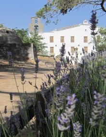 Imagen secundaria 2 - Arriba, a mano derecha, una de las estaciones de la romería hasta la Cueva Santa. Abajo a la izquierda, el santuario de la gruta. Abajo a la derecha, el sendero hasta la entrada del santuario. 