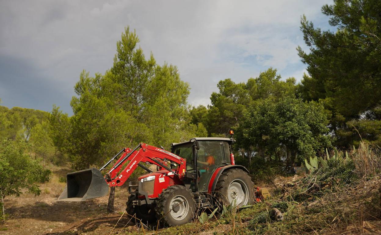 Un tractor realiza trabajos en una zona de La Vallesa. 