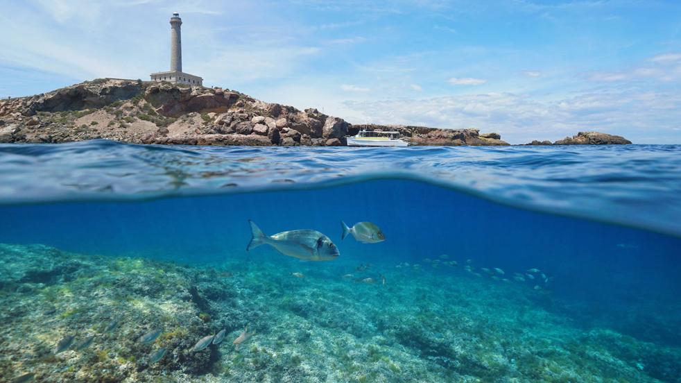 Playas y calas con aguas cristalinas para practicar snorkel