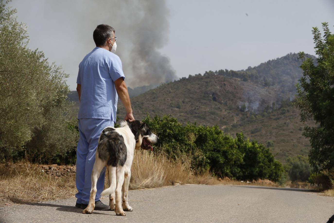 Un incendio afecta a la localidad castellonense de Azuébar desde última hora de la tare del sábado. Los efectivos trabajan para sofocar las llamas y los vecinos del municipio han sido desalojados por precaución.