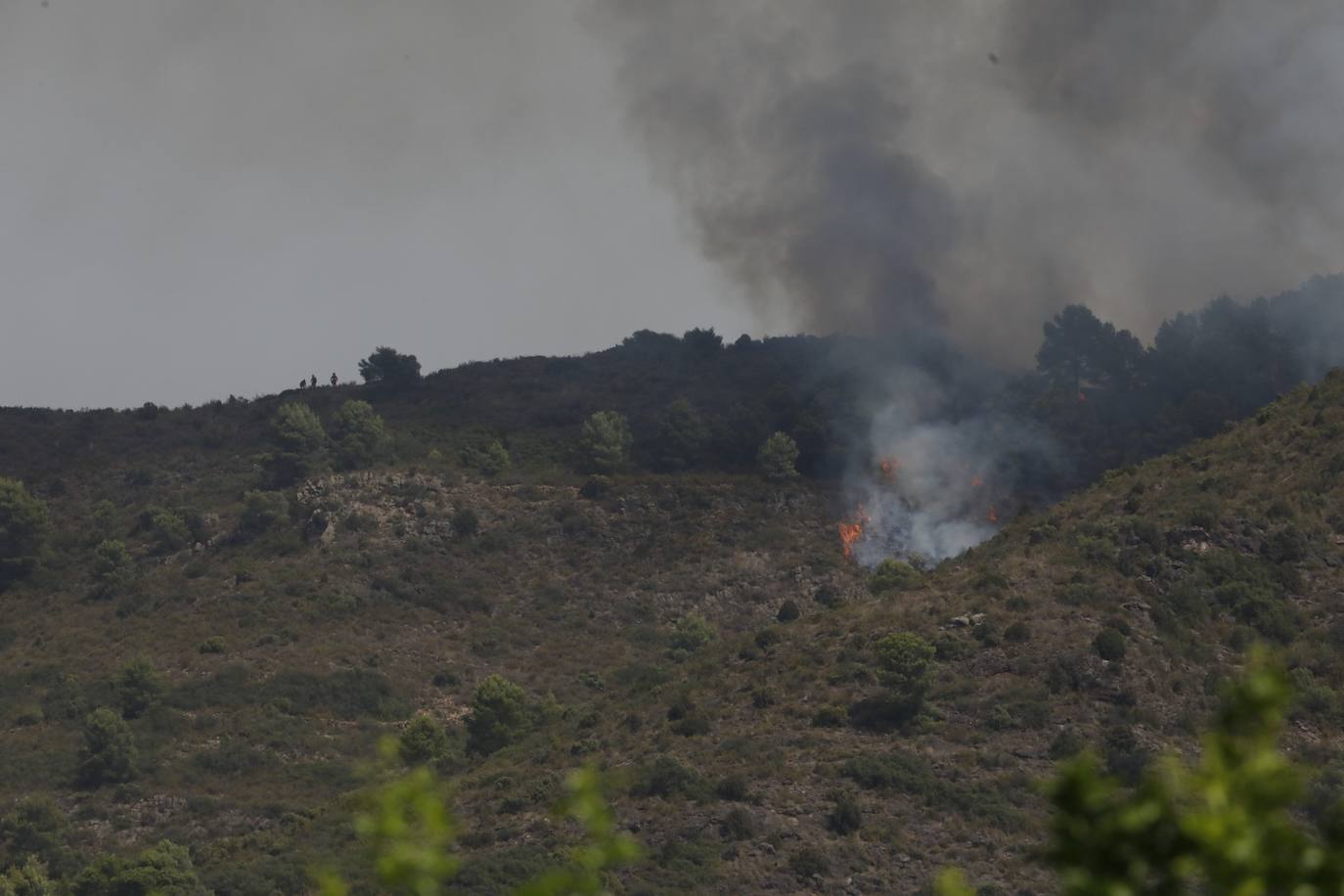 Un incendio afecta a la localidad castellonense de Azuébar desde última hora de la tare del sábado. Los efectivos trabajan para sofocar las llamas y los vecinos del municipio han sido desalojados por precaución.