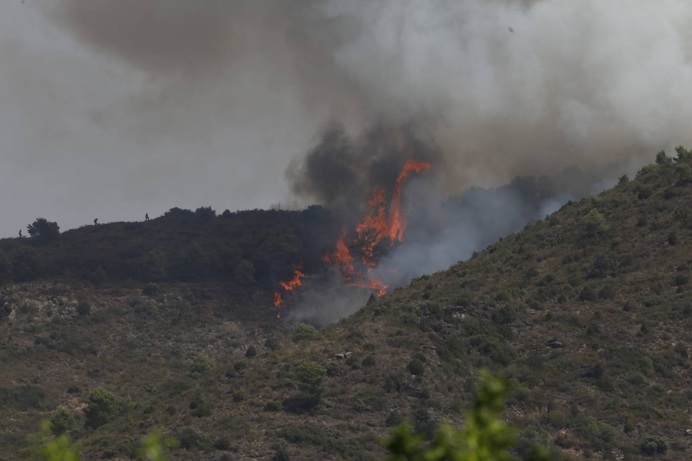 Un incendio afecta a la localidad castellonense de Azuébar desde última hora de la tare del sábado. Los efectivos trabajan para sofocar las llamas y los vecinos del municipio han sido desalojados por precaución.