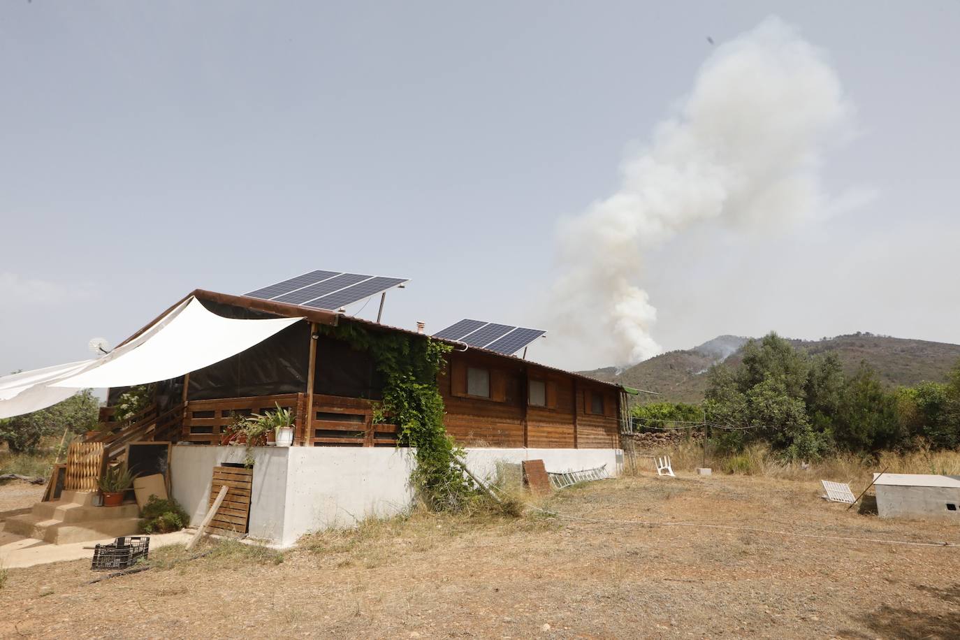 Un incendio afecta a la localidad castellonense de Azuébar desde última hora de la tare del sábado. Los efectivos trabajan para sofocar las llamas y los vecinos del municipio han sido desalojados por precaución.