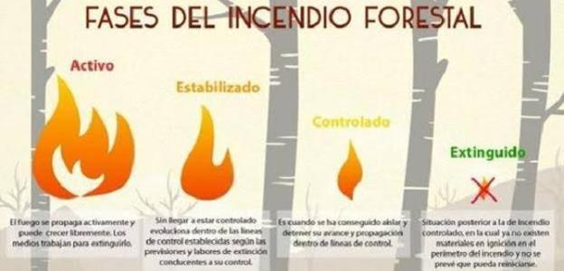 Fases del incendio. 