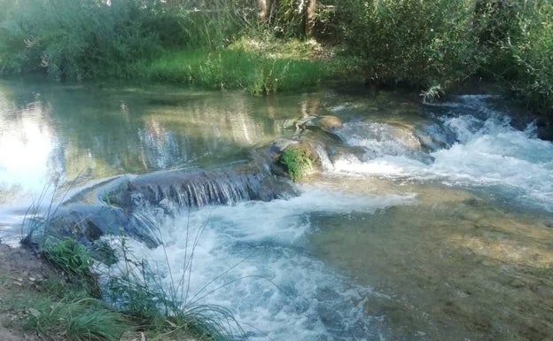 El sonido del agua acompaña durante esta ruta que transcurre en paralelo al río Turia. 