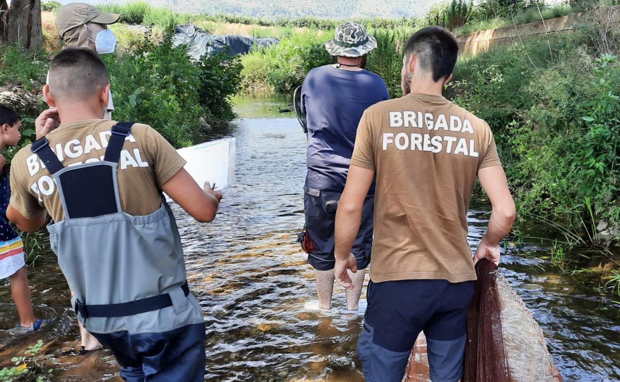 Técnicos en el río Vaca. 