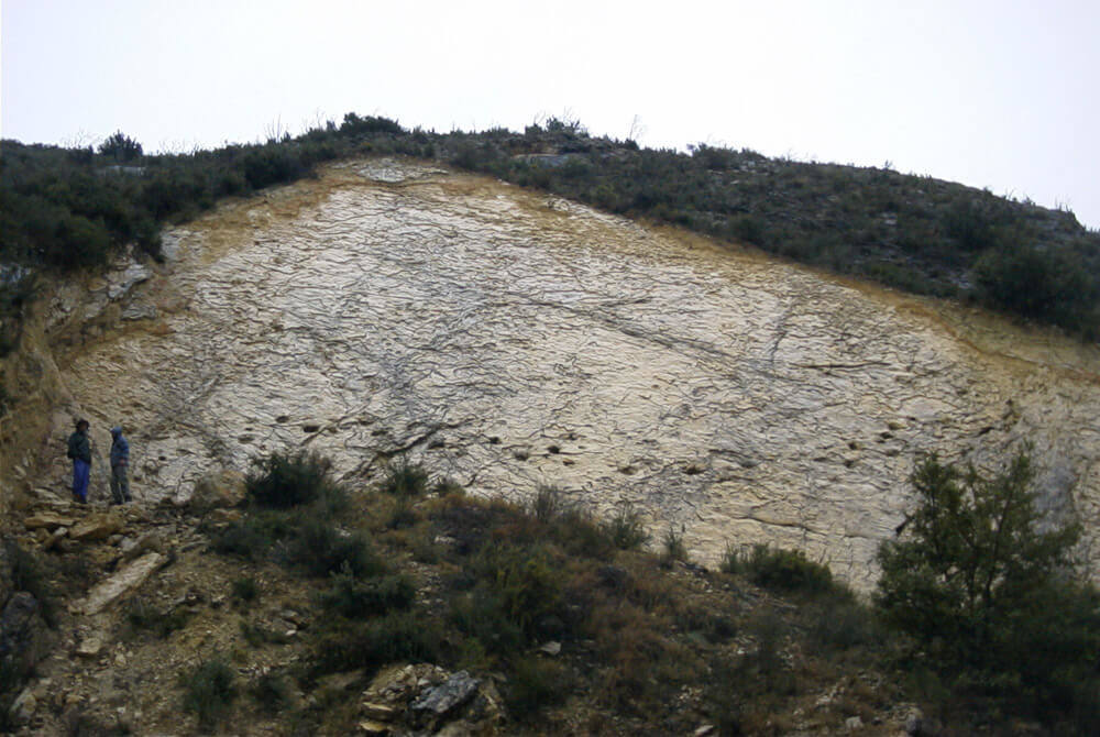 DOS AGUAS - VALENCIA . Aunque muchos concuerdan con la teoría de que se tratan de huellas de criaturas bípedas, otros difieren y manifiestan que debido a la variedad y disiposición de las icnitas podrían ser de dinosaurios cuadrúpedos. Los especialistas afirman que estas huellas tienen más de 80 millones de años. 