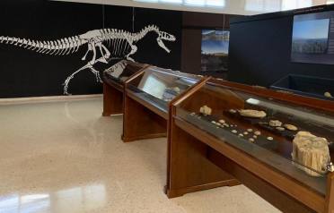 MILLARES - VALENCIA.  De acuerdo con los estudios realizados, se ha estipulado que las huellas encontradas tienen más de 80 millones de años. La cantidad de huellas que se han encontrado denota la abundancia de criaturas que pasaban por esta tierra. Dividido en dos zonas, el yacimiento presenta en una de ellas más de 80 huellas mientras que en el sector b, se han encontrado 132 icnitas.