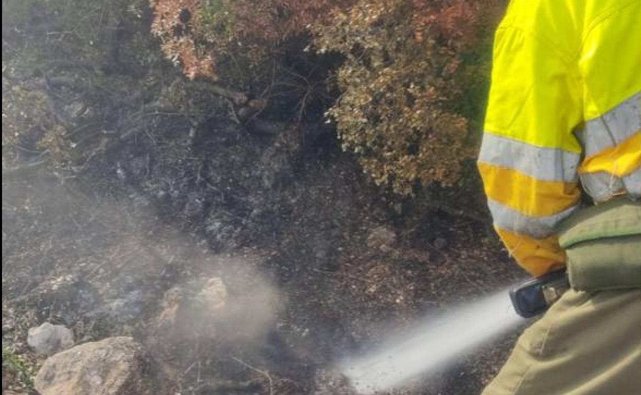 Bomberos trabajan en la zona de Azuébar. 