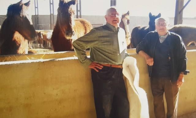 Imagen secundaria 2 - Ricardo, Javier y su abuelo en la cuadra. | La carne de caballo que se vende en su carnicería.