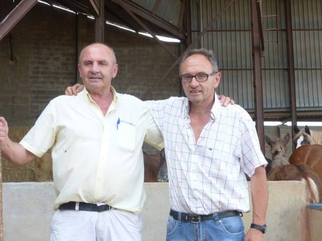 Imagen principal - Ricardo, Javier y su abuelo en la cuadra. | La carne de caballo que se vende en su carnicería.