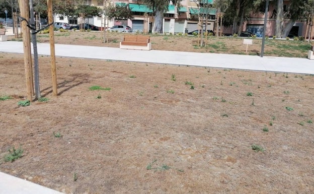 Estado del césped en el parque inaugurado hace seis meses. 