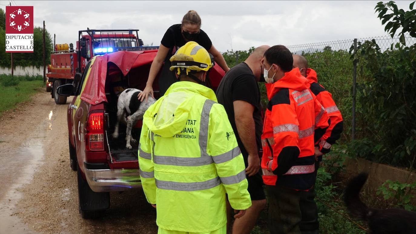 El temporal de fuertes precipitaciones en la Comunitat esta semana ha caído con fuerza en Castellón, donde se han producido importantes inundaciones en Vinaròs y Rosell. Cinco dotaciones del Consorcio de Bomberos de Castellón trabajan este miércoles en el rescate de varias personas atrapadas en ambos municipios, después de producirse sobre las 12 horas una tromba de agua provocada por las intensas lluvias.