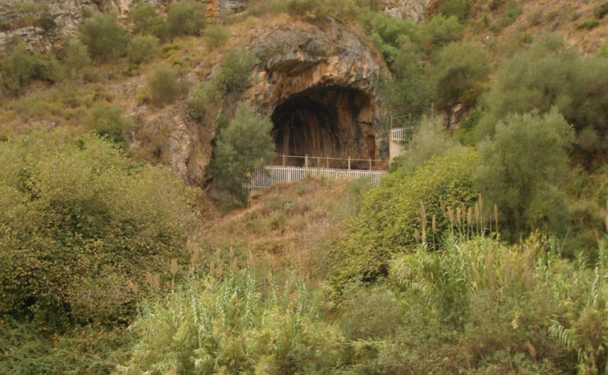 La limpieza del paraje de la Cova Negra será una de las actividades que se realizarán en la jornada educativa.