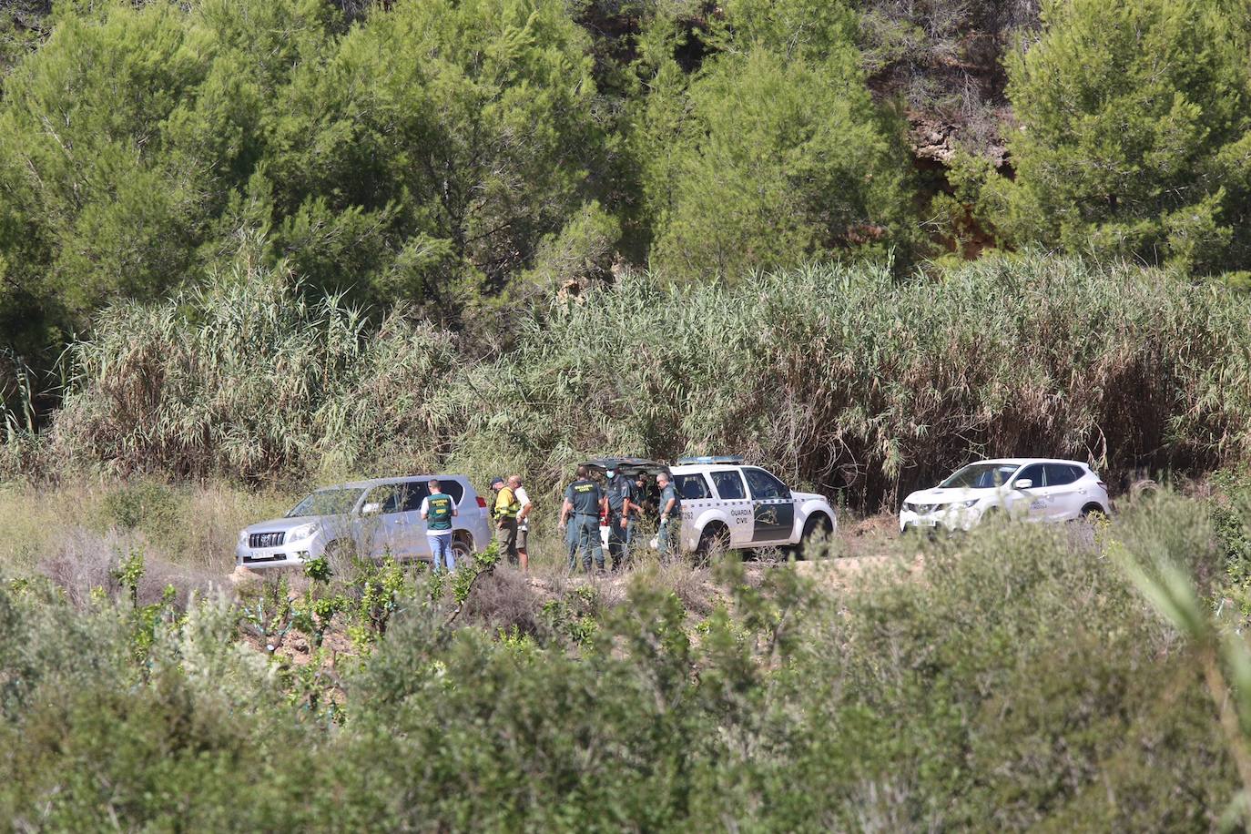 La búsqueda del cuerpo de Marta Calvo se reanuda este jueves con la ayuda de una brigada forestal.