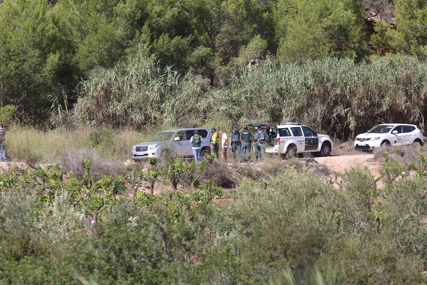 La búsqueda del cuerpo de Marta Calvo se reanuda este jueves con la ayuda de una brigada forestal.