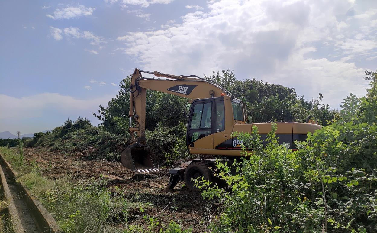 Limpieza de la maleza en un campo de la Torreta. 