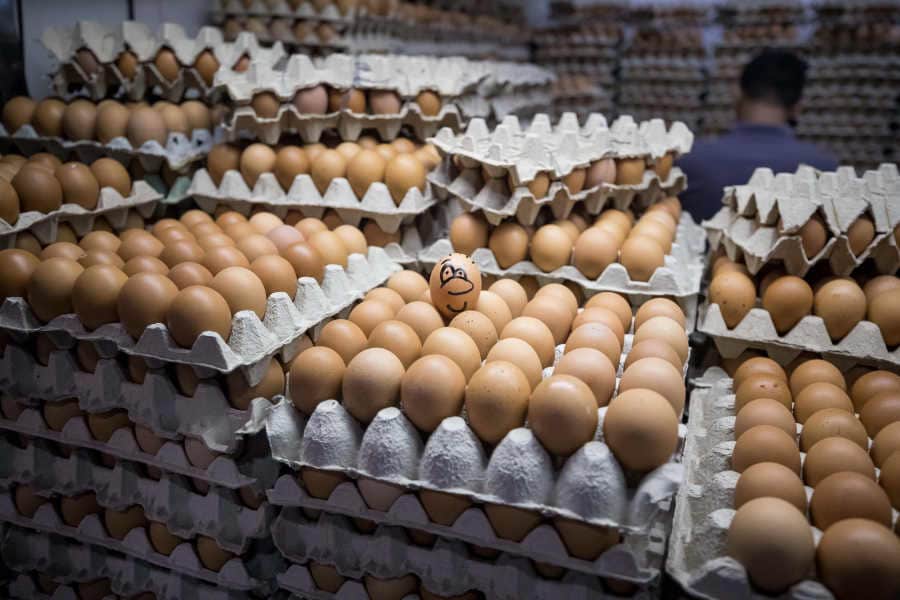 Problema Rebaño impulso El código del huevo: qué significa cada número | ¿Qué significa el código de  los huevos? | Las Provincias