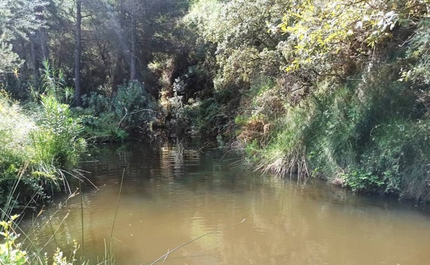 Agua en una de las zonas .por las que transitamos la calurosa mañana. 