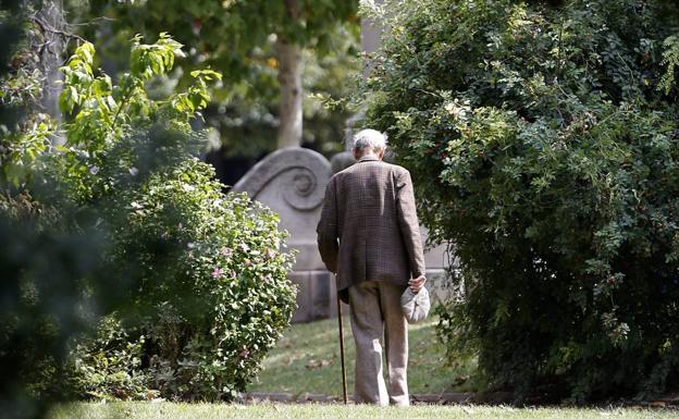 El Imserso publica qué pensión cobra quien no ha cotizado nunca